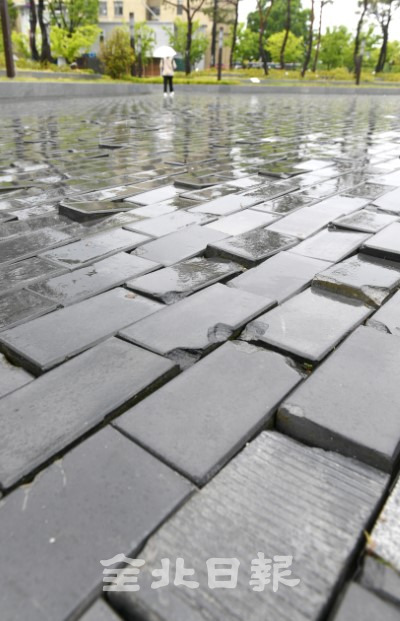 11일 전북대학교 건지광장 보도블럭이 울퉁불퉁 들뜨면서 지나는 학생들이 보행에 어려움을 격고 있다. /오세림 기자