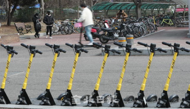 교내 교통안전을 위해 전북대학교가 단속에 나섰지만 미흡하단 지적이 나오고 있는 가운데 24일 전북대 구정문에 전동 킥보드가 길게 주차돼 있다. /조현욱 기자