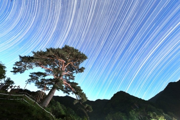 전북일보 오세림 기자, 쳔년송별일주