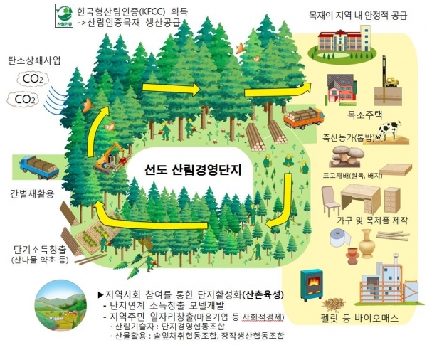 선도산림경영단지 예시