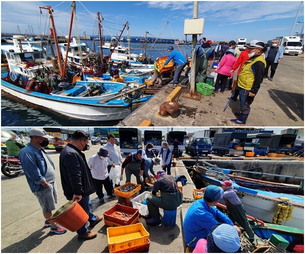 자리돔 주산지 중 하나인 서귀포시 대정읍 모슬포항에서 어민들이 자리돔을 팔고 있다.