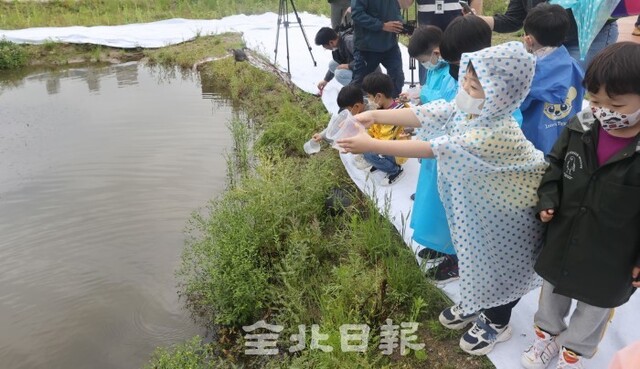 21일 전주 삼천 생태학습장에서 어린이들이 맹꽁이를 방사해주고 있다. /조현욱 기자