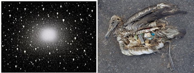 (왼쪽) 전구(Light Bulbs), 100x133cm, Archival Pigment Print_PLEXIGLAS. XT (UV100), 2008, Chris Jordan / (오른쪽) 미드웨이-가이어의 메시지 CF000313(Midway-Message from the Gyre), 64x76cm, Archival Pigment Print_PLEXIGLAS. XT (UV100), 2009~, Chris Jordan