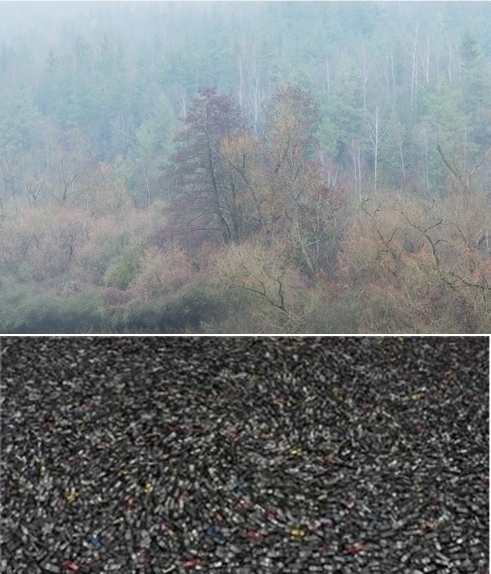 (위) 슈마바 숲(Sumava) No 4, 140x206cm, 2018, Archival Pigment Print, Chris Jordan / (아래) 핸드폰 (Cell Phones #2),  Atlanta,  90x183cm, Archival Pigment Print , 2005, Chris Jordan