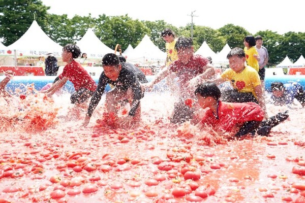 매년 6월이면 ‘퇴촌토마토축제’가 열려 즐거움을 더한다. 사진은 토마토로 가득채운 풀장 모습. 아쉽지만 코로나19로 인해 올해도 지난해에 이어 축제가 취소됐다.