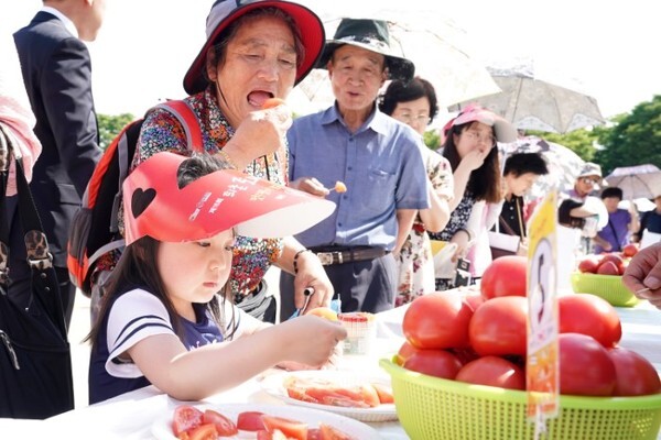 광주 퇴촌토마토는 과육이 단단하고 당도가 높다. 사진은 토마토품평회 모습.
