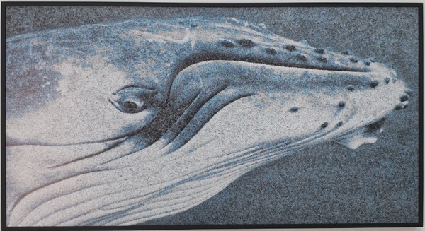 크리스 조던 작품 '고래'