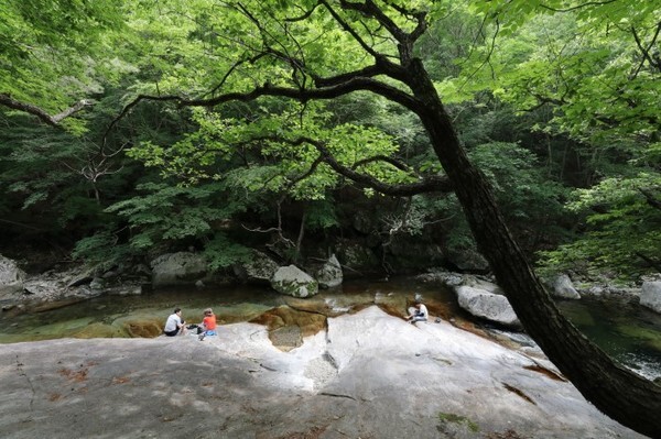 구천동 어사길