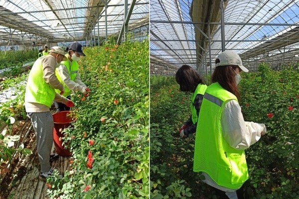 사진 = 농업기술실용화재단 제공