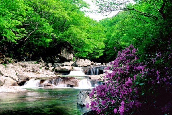 국립공원 100경 뱀사골계곡