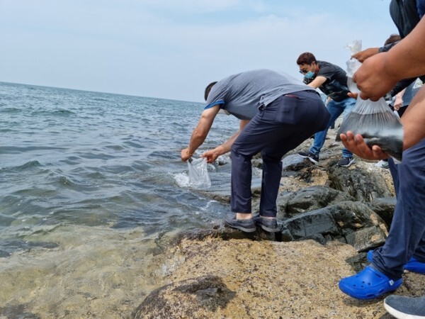 치어를 방류하는 모습