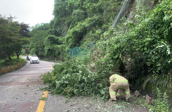 장맛비가 시직되면서 30.2mm의 강수량을 보인 남원시 주천면에서 4일 절개사면이 붕괴해 도로로 토사 등이 유출돼 긴급복구에 나서고 있다./사진 제공=전북도청