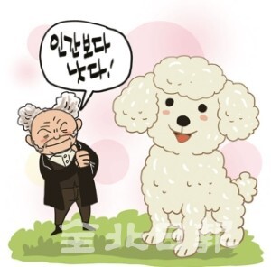 삽화 = 정윤성 기자