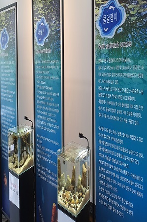 무주군 반디랜드 ‘무주의 둠벙 속 생물 특별전’