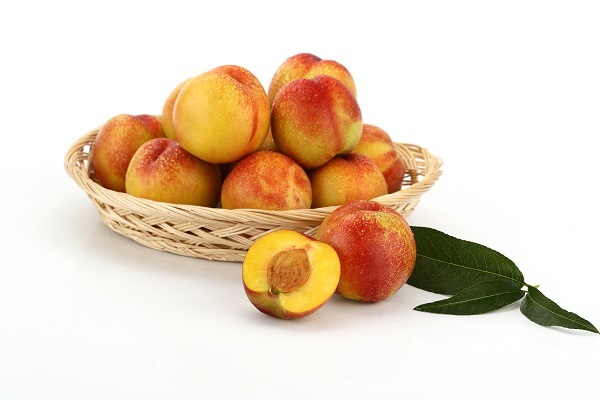 옐로드림 /사진 제공 = 농촌진흥청