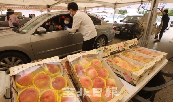 '제23회 명품전주복숭아 직거래 행사'가 전주종합경기장에서 열린 20일 코로나19 여파로 드라이브 스루 방식을 통해 시민들이 복숭아를 구매하고 있다. /사진 = 조현욱 기자