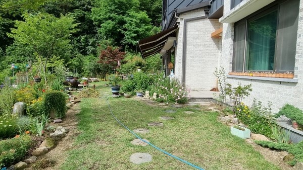 올곧음상을 수상한 '유포리아' /사진 제공 = 전주시청