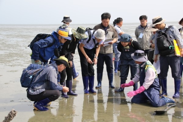 고창갯벌 실사단의 모습