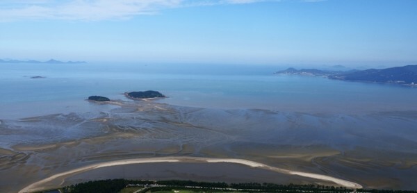 고창갯벌의 쉐니어