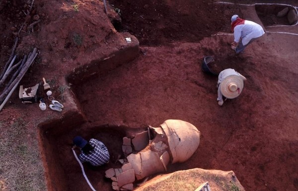 익산 율촌리 5호분 대형 옹관 노출상태