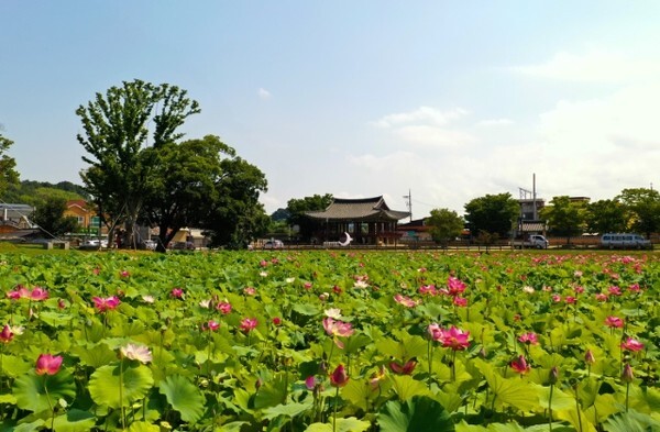 정읍시 태인면 소재 호남제일정(피향정)