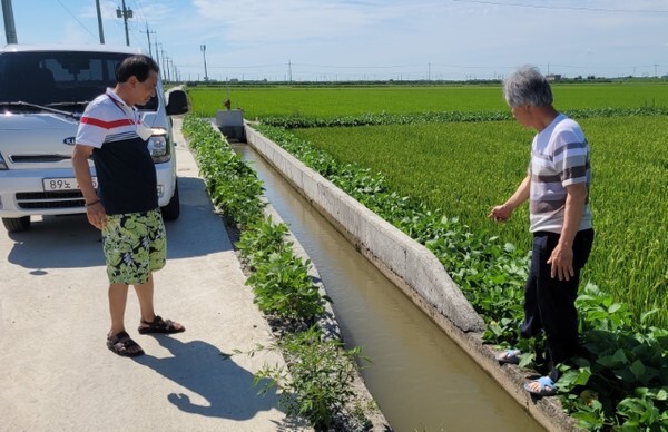 수로 높이가 낮아 배수장에 보내지는 농업용수가 충분하게 공급되지 않고 있다.