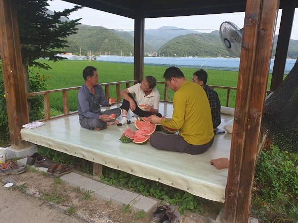 농민들이 원두막에서 갓 따온 수박을 먹고 있다 /사진 제공 = 양구군청