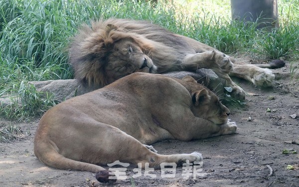 /사진 = 조현욱 기자