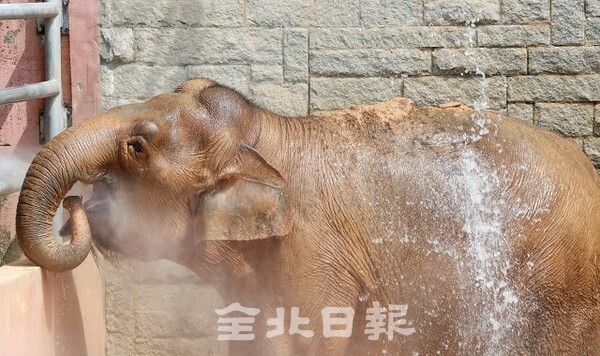 /사진 = 조현욱 기자