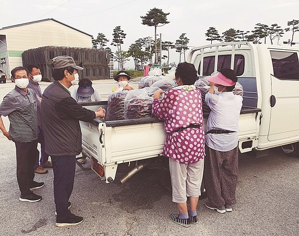 고창 건고추 장터