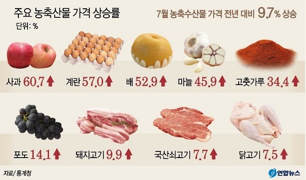 /그래픽 = 연합뉴스