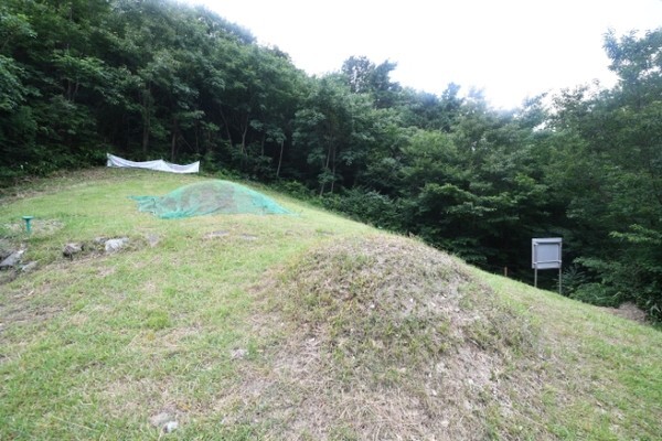 김난식과 김현채의 묘