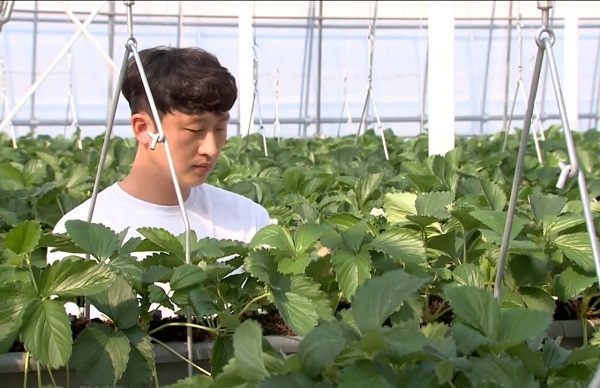 지난해 9월 스마트 팜에 입주한 강정구 씨