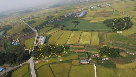 정읍 지사리 분구묘