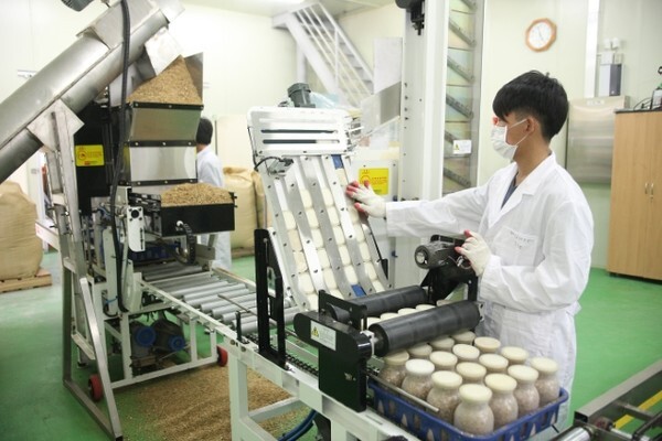 무주군 농업기술센터 종균센터에서는 농가보급을 위해 톱밥을 이용한 천마 종균 제조작업을 진행한다. 연구원이 톱밥을 이용한 천마 종균을 제조하고 있다. /사진 제공 = 무주군