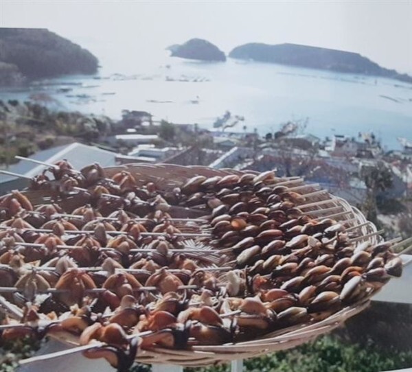 홍합을 해풍에 말리고 있다 /경남신문DB