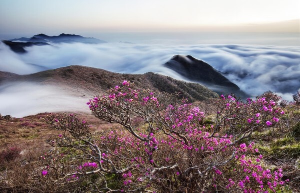 덕유산의 봄 / 이승윤 산악사진가