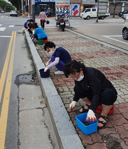 도로변에 맨드라미를 식재하는 모습