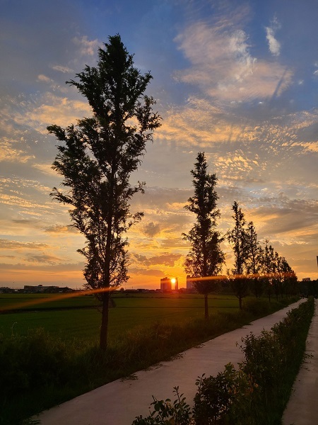 인화공원 무장애나눔길의 모습
