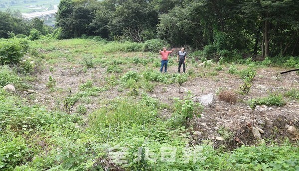 풍수지리의 대가인 홍성문 대사가 '회문산가'에 밝힌 명당인 '오선위기'터라며 풍수가 신남식씨가 지목한 터에서 풍수를 설명하고 있다. /사진 제공 = 오세림 기자