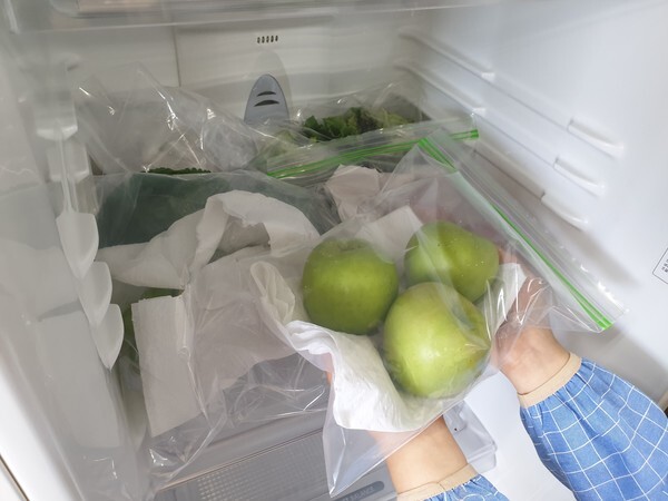 포장한 사과 냉장고에 넣는 모습 /농촌진흥청 제공