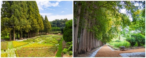 아가페정양원 정원