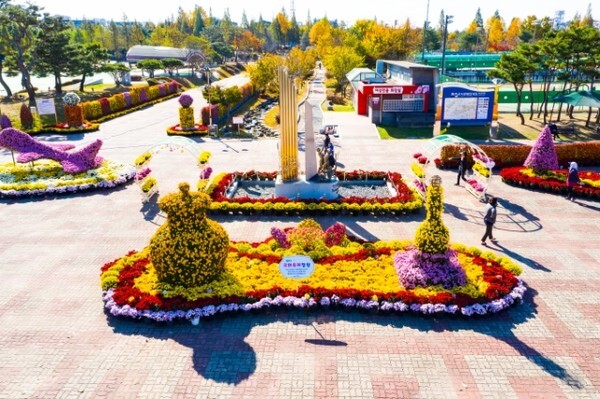 익산 중앙체육공원에서 진행된 익산 천만송이 국화축제 모습 /사진 제공 = 익산시