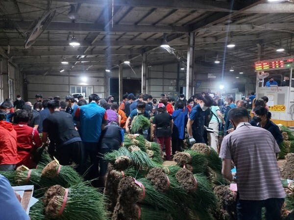 오전 4시 익산원예농협 공판장. 채소류를 사러 온 상인들로 북적이고 있다.