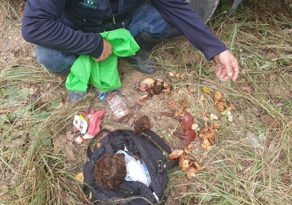 적발된 등산객의 배낭에서 나온 임산물