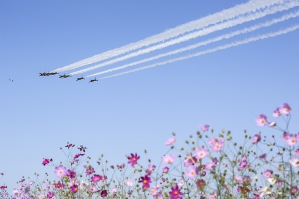 제22회 김제지평선 온라인축제에서 선보인 블랙이글스에어쇼