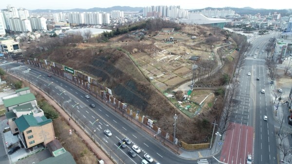 미세먼지 차단숲 조성사업에 선정된 새들허브숲 모습