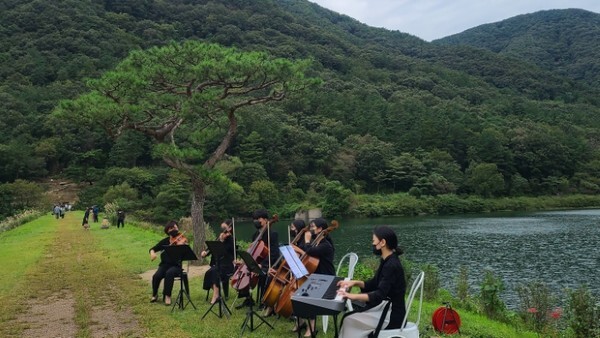 오성제 BTS 소나무를 배경으로 연주회를 하는 모습