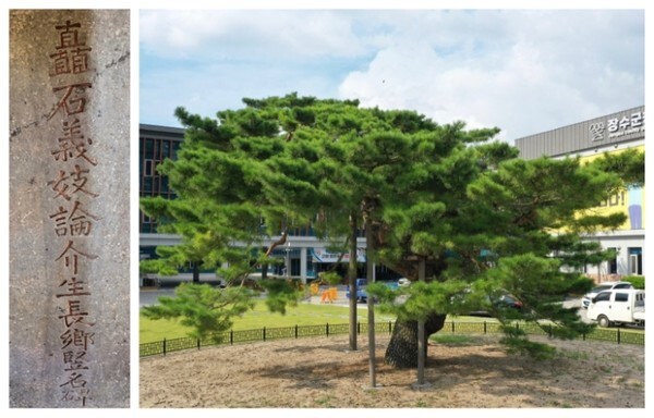 생장향수명비와 천연기념물 장수 장수리 의암송. /사진 제공 = 장수군청