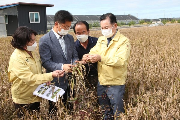 송지용 의장이 벼 병해충 현장을 방문했다.